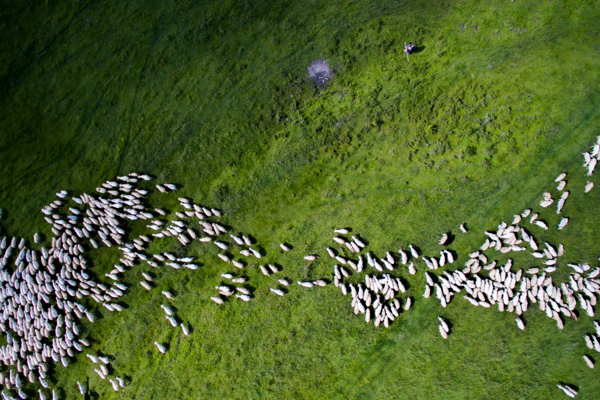 aerial-photography-swarm